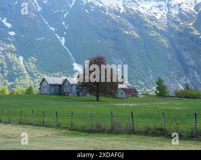 Einsames Haus steht auf einer grünen Wiese mit einer majestätischen Berglandschaft im Hintergrund, eidfjord, norwegen Stockfoto