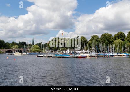 Segelboote im Jachthafen der Segelgemeinschaft Hamburg e.V. vor blauem Himmel im Sommer auf der Alster, Hamburg Stockfoto