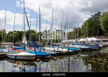 Segelboote im Jachthafen der Segelgemeinschaft Hamburg e.V. im Sommer auf der Alster, Hamburg, Deutschland Stockfoto