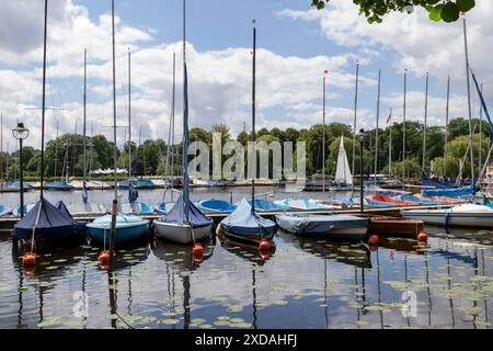 Segelboote im Jachthafen der Segelgemeinschaft Hamburg e.V. vor blauem Himmel im Sommer auf der Alster, Hamburg Stockfoto