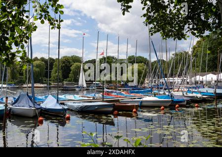 Segelboote im Jachthafen der Segelgemeinschaft Hamburg e.V. vor blauem Himmel im Sommer auf der Alster, Hamburg Stockfoto