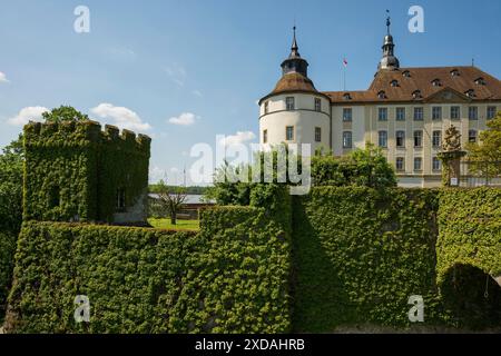 Schloss Langenburg, Langenburg, auf der Jagst, bei Schwäbischer Halle, Baden-Württemberg, Deutschland Stockfoto