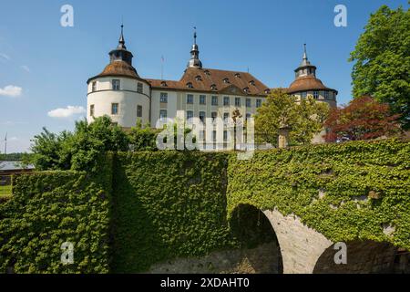 Schloss Langenburg, Langenburg, auf der Jagst, bei Schwäbischer Halle, Baden-Württemberg, Deutschland Stockfoto