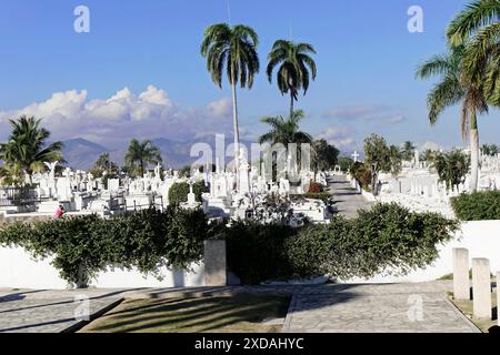 Friedhof Cementerio Santa Ifigenia, Santiago de Cuba, Altstadt, Kuba, Karibik, Zentralamerika, Friedhof mit hohen Palmen und Grabsteinen Stockfoto