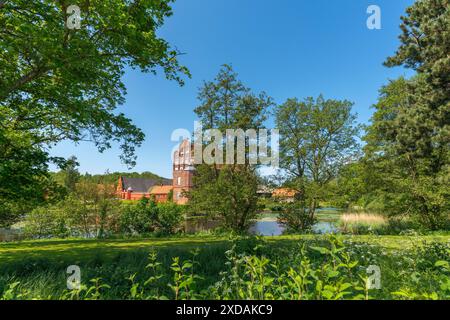 Spätgotisches Herrenhaus Hesselagergaard mit Park, 16. Jahrhundert, See, Privatgrundstück, Fyn, Insel Fünen, Dänemark, Hesselager, Insel Fünen Stockfoto