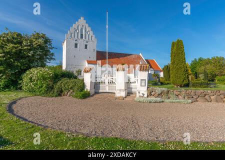 Weiß getünchte Kirche in Dalby, Seitenansicht, rotes Dach, Friedhof, Stufengiebel, Eingangstor, Steinmauer aus unberechenbaren Blöcken, Vorplatz, Fyn, Norden Stockfoto