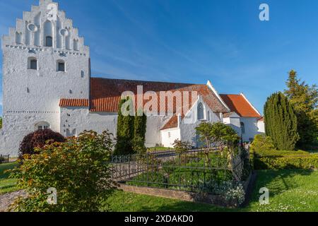 Weiß getünchte Kirche in Dalby, Seitenansicht, Friedhof, Stufengiebel, Fyn, Nordfünen, Dänemark Stockfoto