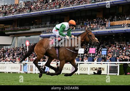 21. Juni 2024; Ascot Racecourse, Berkshire, England: Royal Ascot Horse Racing, Tag 4; Crystal Black geritten von Colin Keane trainiert von Gerard Keane gewinnt Rennen 4; The Duke of Edinburgh Stakes Stockfoto