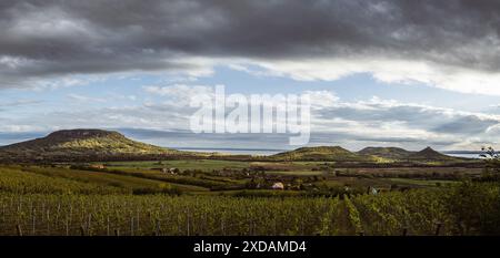 Panoramablick auf die Berge Badacsony und Szigliget im ungarischen Balatonfelvidék mit Weinbaugebiet Balaton im Vordergrund Stockfoto