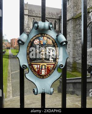 Farbenfroher Crest vor den Toren der St. Patrick's Cathedral, Dublin. Stockfoto