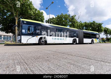 Connexxion Solaris Urbino 18 Gelenkbus Stockfoto