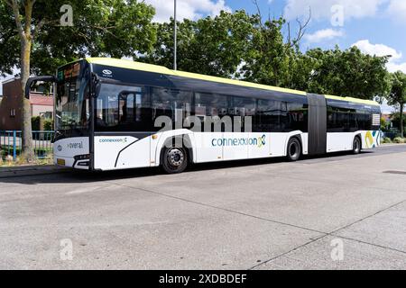 Connexxion Solaris Urbino 18 Gelenkbus Stockfoto