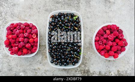 Frische Himbeeren in Plastikbox. Drei Plastikbehälter mit frischen Gartenbeeren auf Betonhintergrund. Blick von oben. Stockfoto