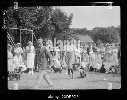 Hundeshow, East Hampton, Long Island. Genthe Fotosammlung. Stockfoto