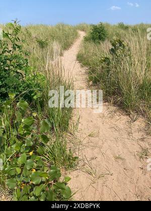 Sandweg durch Strandgras Stockfoto