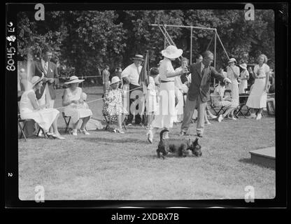 Hundeshow, East Hampton, Long Island. Genthe Fotosammlung. Stockfoto