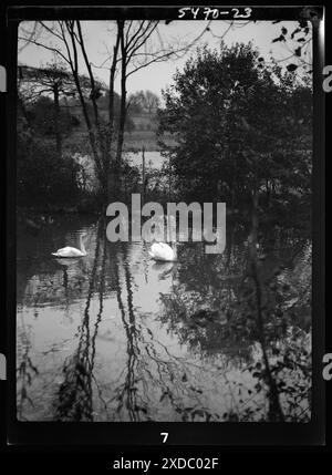 Taylor, Myron C., Mr., Residence and Grounds, Locust Valley, Long Island, New York. Genthe Fotosammlung. Stockfoto