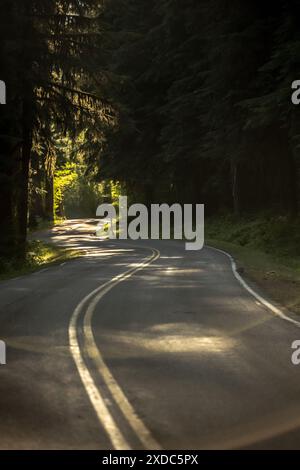Die Straße führt durch die Gegend um Sol Duc im Oympic-Nationalpark Stockfoto