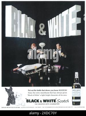 1961 Black & White Scotch Werbung Stockfoto