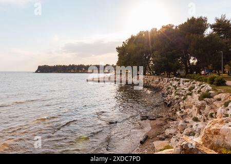 Strand in Novigrad, Kroatien Stockfoto