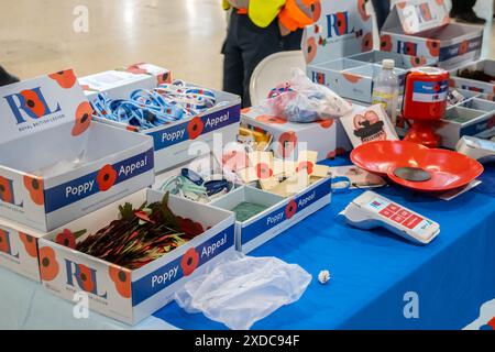 LONDON, ENGLAND - 11. November 2023: Mohnstand am Bahnhof Waterloo in London Stockfoto