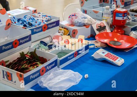 LONDON, ENGLAND - 11. November 2023: Mohnstand am Bahnhof Waterloo in London Stockfoto