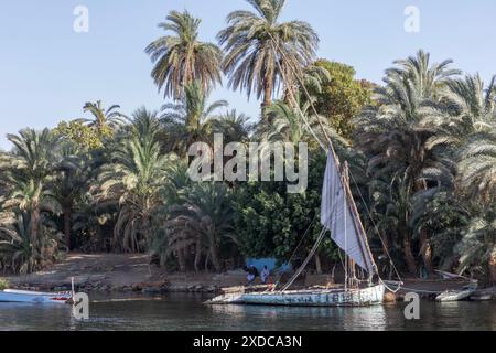 Drei Ägypter sitzen auf einer Bank im Schatten am Nil vor einer blauen Mauer und hinter einer Feluke mit herabhängendem Segel. Stockfoto