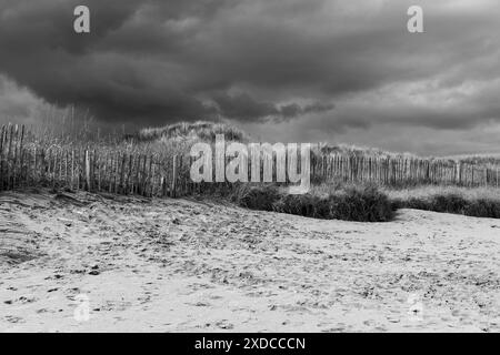 Herrlicher Sandstrand in St. andrews, schottland Stockfoto