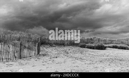 Herrlicher Sandstrand in St. andrews, schottland Stockfoto