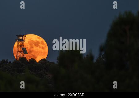 Madrid, Spanien. Juni 2024. Der Vollmond im Juni, bekannt als Erdbeermond, erhebt sich über einem Feueraussichtsturm, der mit der Sommersonnenwende zusammenfällt. Quelle: Marcos del Mazo/Alamy Live News Stockfoto