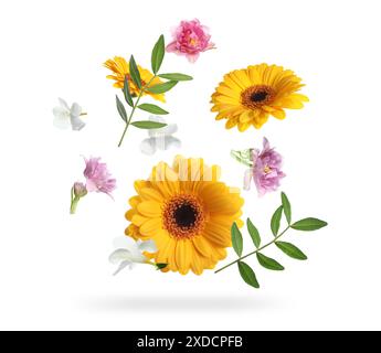 Gelbe Gerberas und andere schöne Blumen in der Luft auf weißem Hintergrund Stockfoto