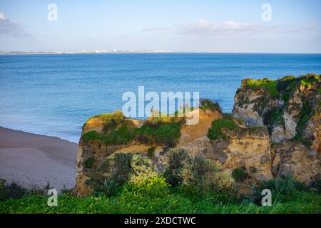 Wunderschöner Meeresstrand in Lagos 'Praia da Batata' mit grasbewachsenen hohen Klippen und wunderschönen Grotten. Panorama auf Strand und Meer. Stockfoto