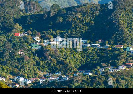 Wohnhäuser in Wellington - Neuseeland Stockfoto