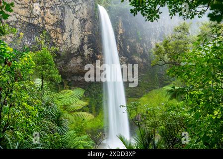 Bridal Veil Falls - Neuseeland Stockfoto