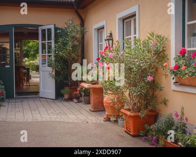 Perchtoldsdorf, Österreich - 22. JULI 2023. Historische Altstadt mit befestigtem Turm, erbaut im 15. Und 16. Jahrhundert. Stadt Perchtoldsdorf, Moedling di Stockfoto