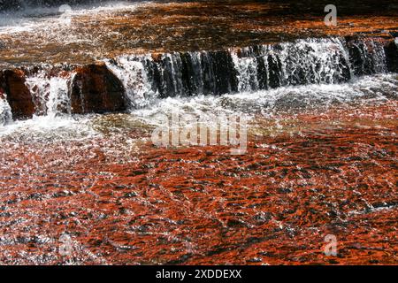 Flussbett und Wasserfall aus rotem jasper Creek, Quebrada de Jaspe, Gran Sabana, Venezuela Stockfoto