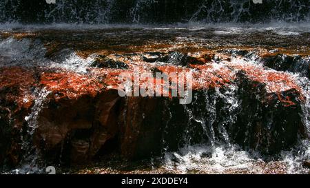 Roter jaspis am Wasserfall Jasper Creek, Quebrada de Jaspe, Gran Sabana, Venezuela Stockfoto