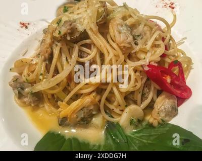 Spaghetti mit Muscheln auf einem weißen Teller. Stockfoto