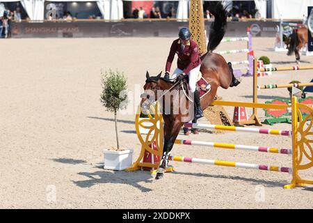 Christian Ahlmann aus Deutschland mit D'aganix 2000 Z während des Prix Turkish Airlines CSI5* Springturniers beim Longines Paris Eiffel Jumping am 21. Juni 2024 in Paris, Frankreich (Foto: Maxime David - MXIMD Pictures) Stockfoto