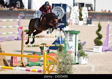 Christian Ahlmann aus Deutschland mit D'aganix 2000 Z während des Prix Turkish Airlines CSI5* Springturniers beim Longines Paris Eiffel Jumping am 21. Juni 2024 in Paris, Frankreich (Foto: Maxime David - MXIMD Pictures) Stockfoto