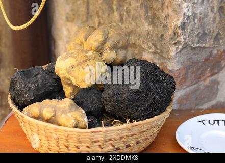 Diverse Trüffeln auf Anzeige in Umbrien, Italien. Stockfoto