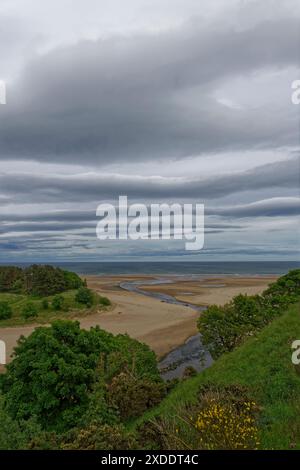Der Blick über den Fluss Lunan River, der in die Nordsee fließt, in der Lunan Bay an einem dunklen und regnerischen Tag im Juni bei außergewöhnlich Niedrigwasser. Stockfoto