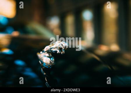 Tiflis, Georgien. Nahaufnahme des Logotyps des Jaguar XJL XJ auf der Motorhaube. Beim Jaguar XJ handelt es sich um eine Serie mittelgroßer Luxuswagen, die von hergestellt werden Stockfoto