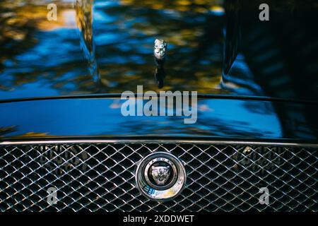 Tiflis, Georgien. Nahaufnahme des Logotyps des Jaguar XJL XJ auf der Motorhaube. Beim Jaguar XJ handelt es sich um eine Serie mittelgroßer Luxuswagen, die von hergestellt werden Stockfoto