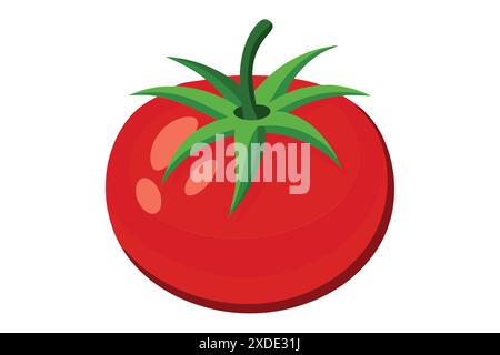 Tomatenvektor und farbige Illustration Stock Vektor