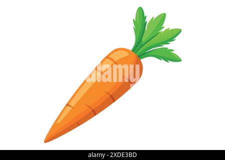 Karottenvektor-Illustration für Grafikdesign-Projekte Stock Vektor