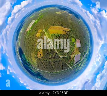 Luftbild, Naturschutzgebiet Moosheide in der Senne, Heidewaldgebiet am Emser Kirchweg, Wandergebiet, Erdkugel, Fischaugenbild, 360 Grad Stockfoto