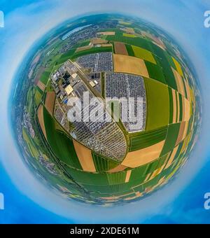 Blick aus der Vogelperspektive, Wallenius Wilhelmsen Logistics Deutschland, Gewerbegebiet mit Auto- und LKW-Transportunternehmen, Mega-Parkplatz, umgeben von gekacheltem Meado Stockfoto