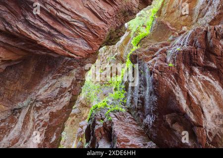 Felsformationen aus rotem Eisenoxid in den Schluchten von Cians, regionales Naturschutzgebiet, Südfrankreich Stockfoto