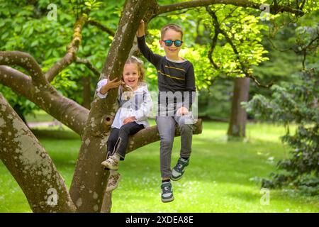 Ein Junge und ein Mädchen sitzen auf einem Ast im Park. Stockfoto
